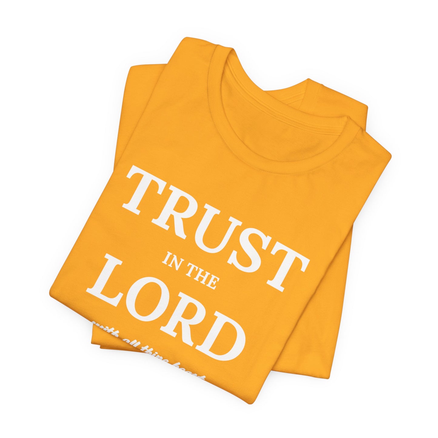 Proverbs 3:5 "Trust in the Lord" Christian Women's T-shirt Bible Verse Inspired